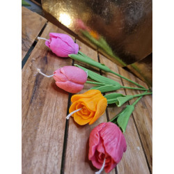 Une Fleur, Mille Émotions (Tulipe)
