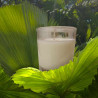 Bougie Fleur de Coton – Douceur et réconfort absolus