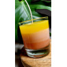 Bougie Mangue Papaye – Un duo tropical rafraîchissant