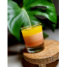 Bougie Mangue Papaye – Un duo tropical rafraîchissant